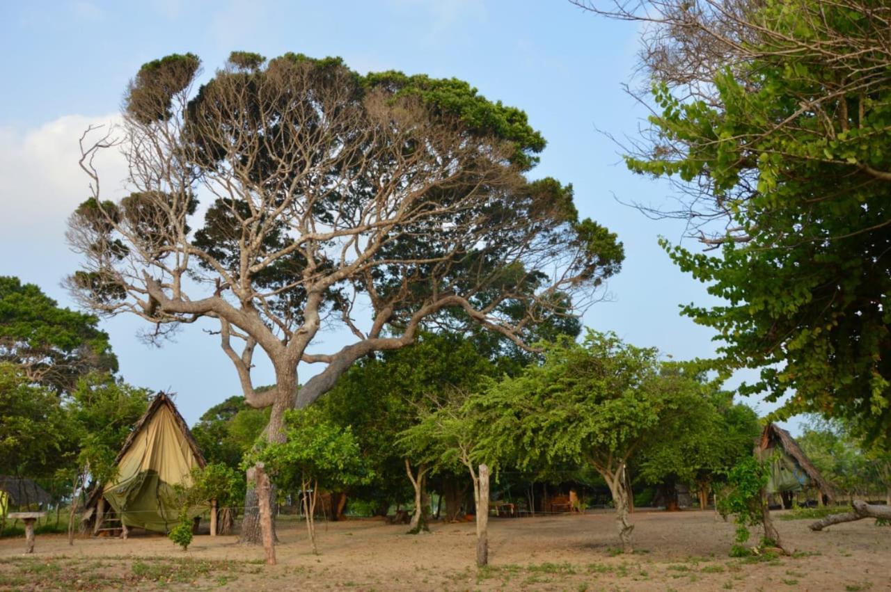 Surfing Lion Hostel Arugam Bay Zewnętrze zdjęcie