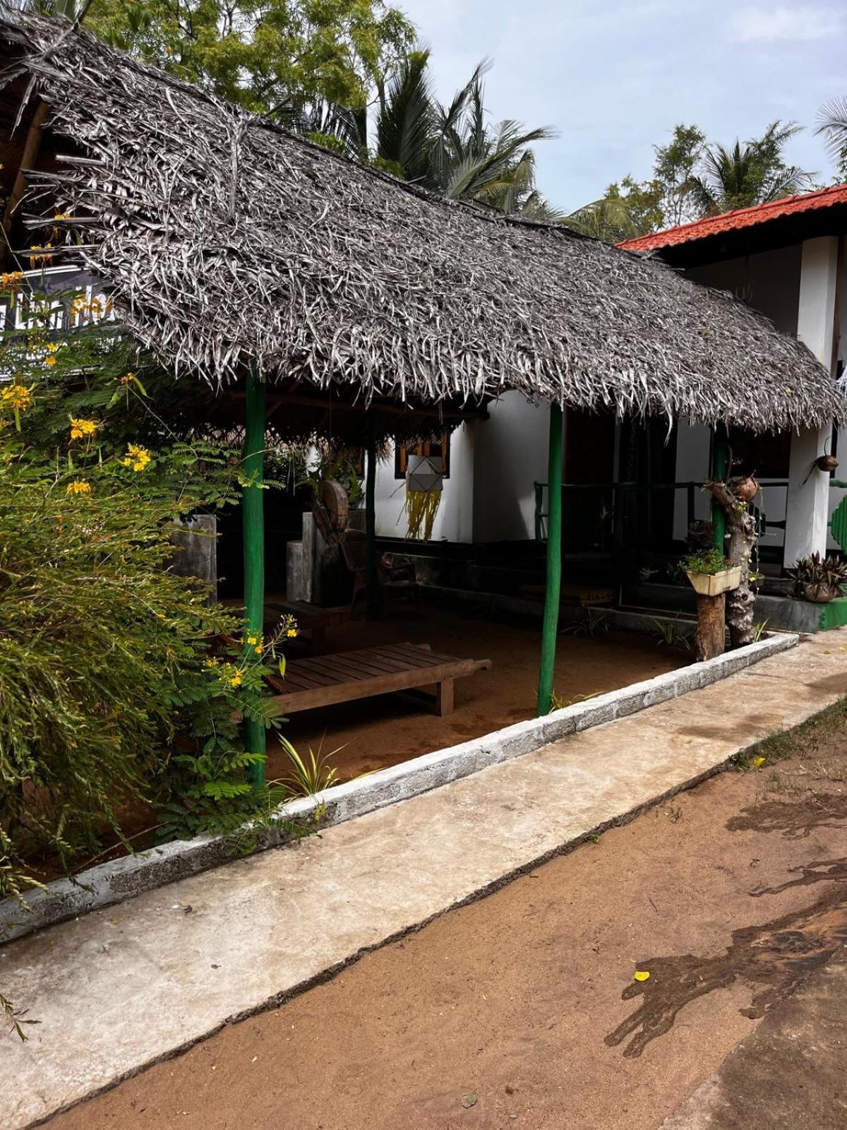 Surfing Lion Hostel Arugam Bay Zewnętrze zdjęcie