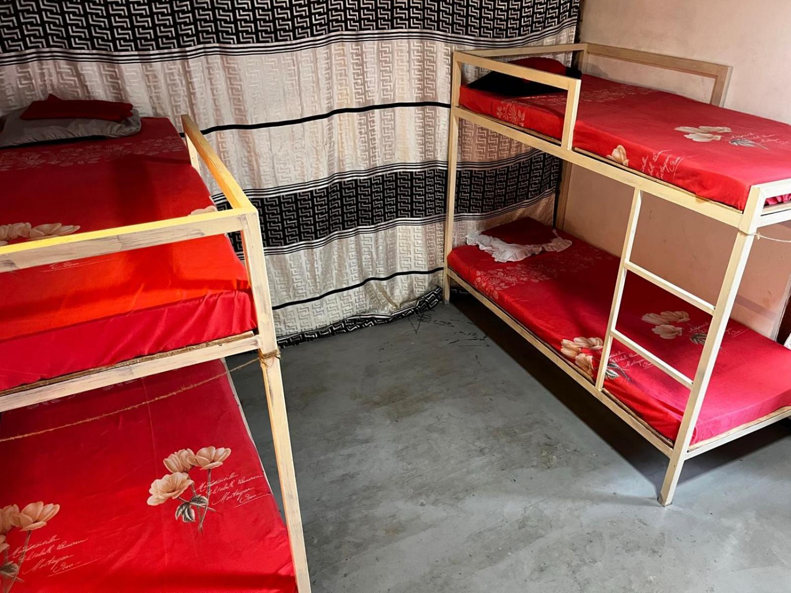 Surfing Lion Hostel Arugam Bay Zewnętrze zdjęcie
