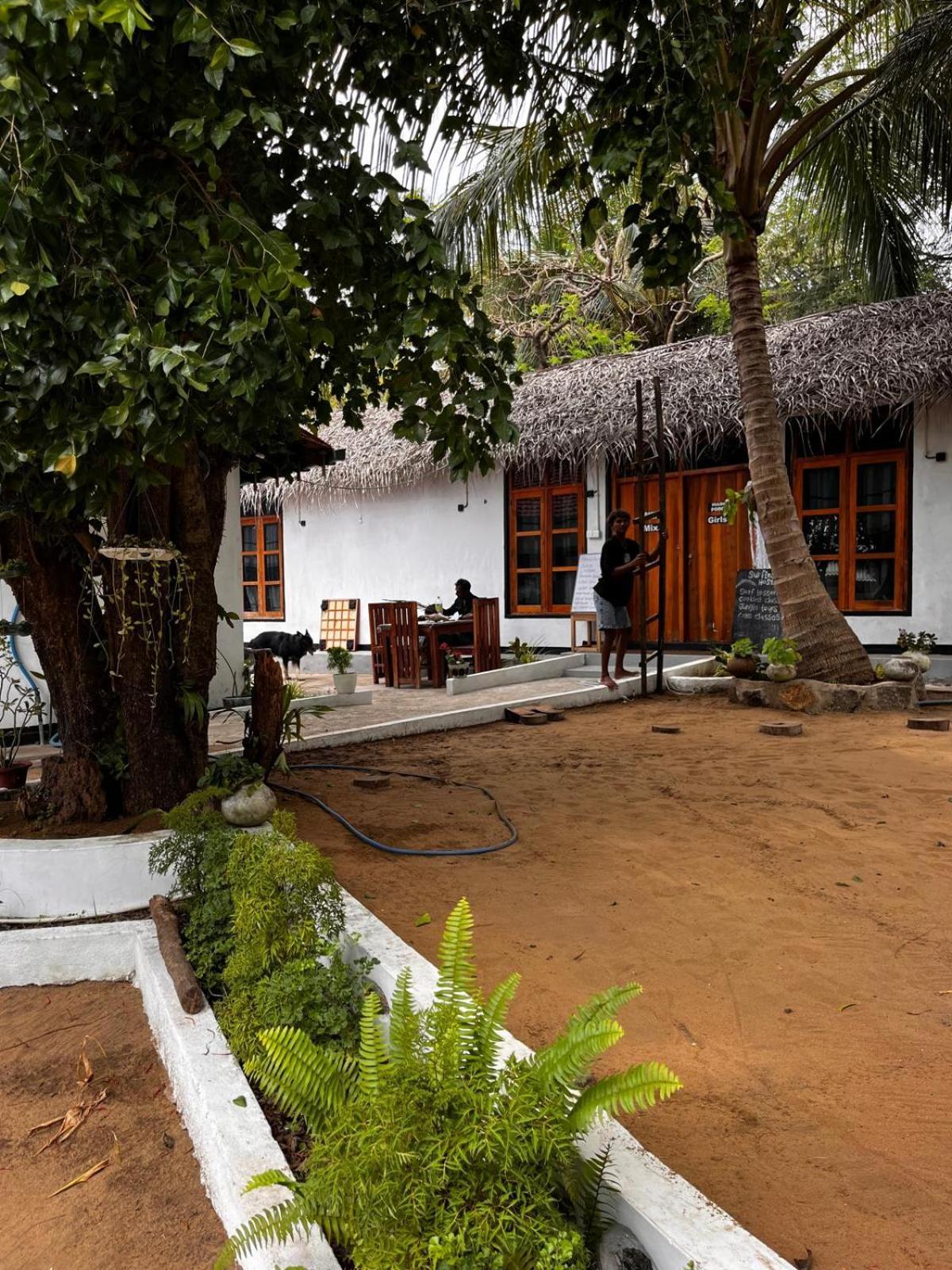 Surfing Lion Hostel Arugam Bay Zewnętrze zdjęcie