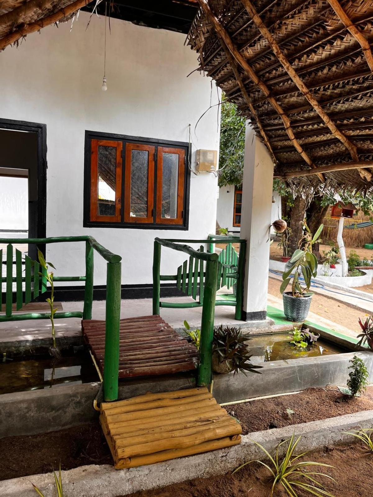 Surfing Lion Hostel Arugam Bay Zewnętrze zdjęcie