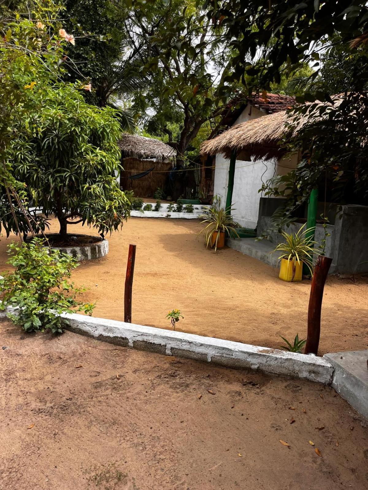 Surfing Lion Hostel Arugam Bay Zewnętrze zdjęcie