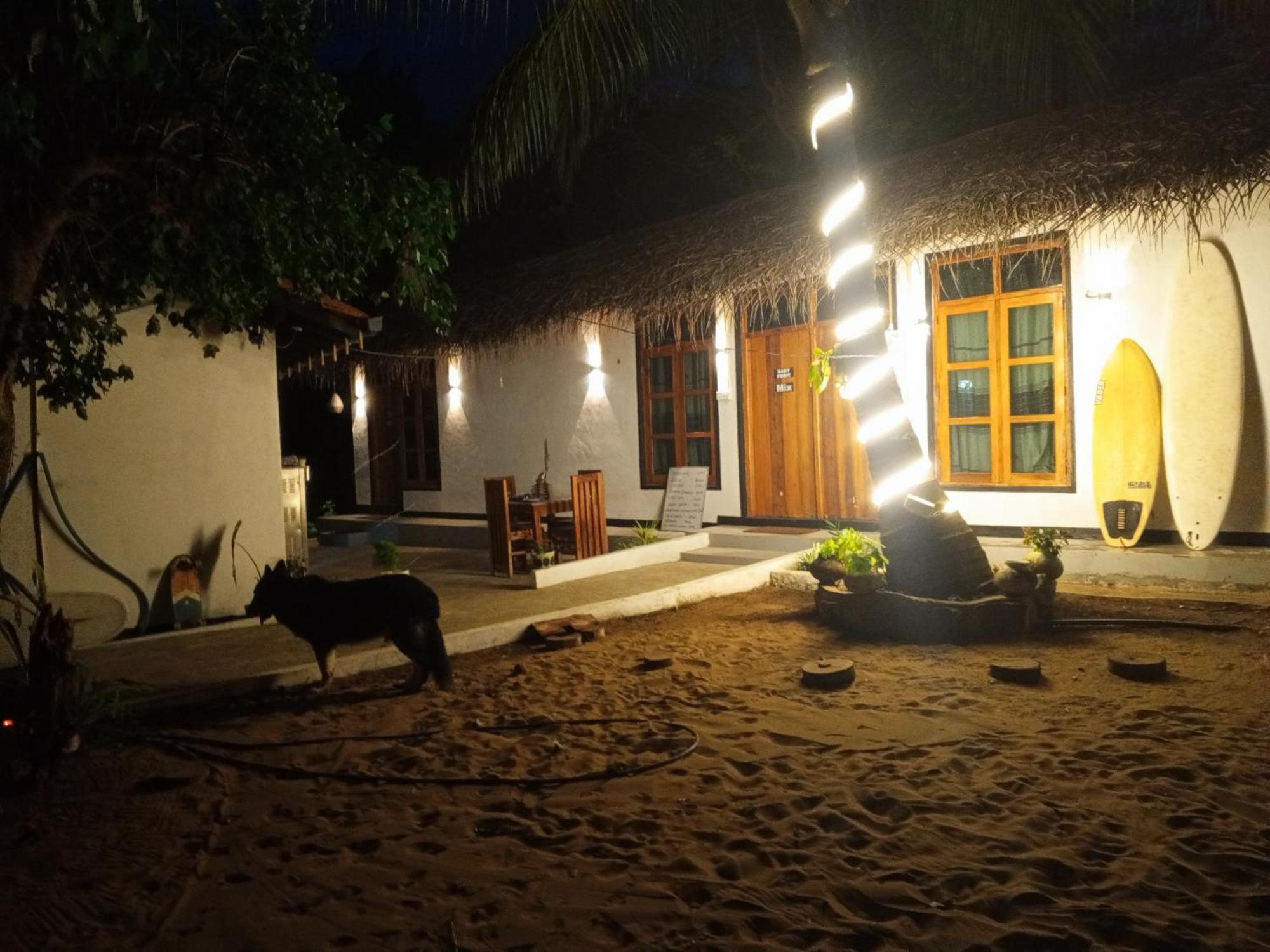 Surfing Lion Hostel Arugam Bay Zewnętrze zdjęcie