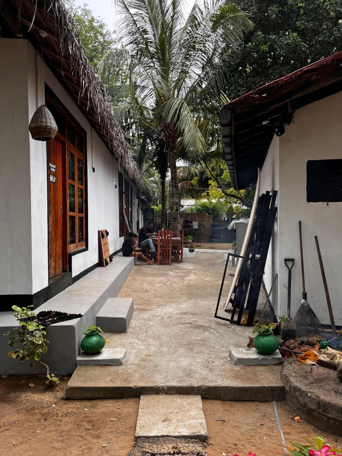 Surfing Lion Hostel Arugam Bay Zewnętrze zdjęcie