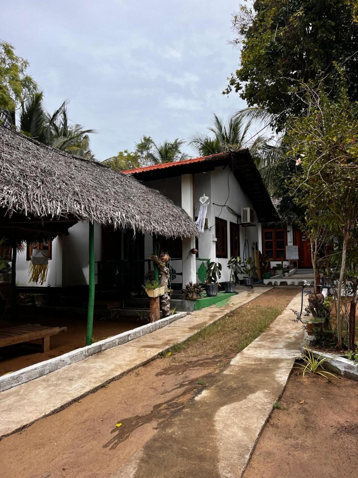 Surfing Lion Hostel Arugam Bay Zewnętrze zdjęcie