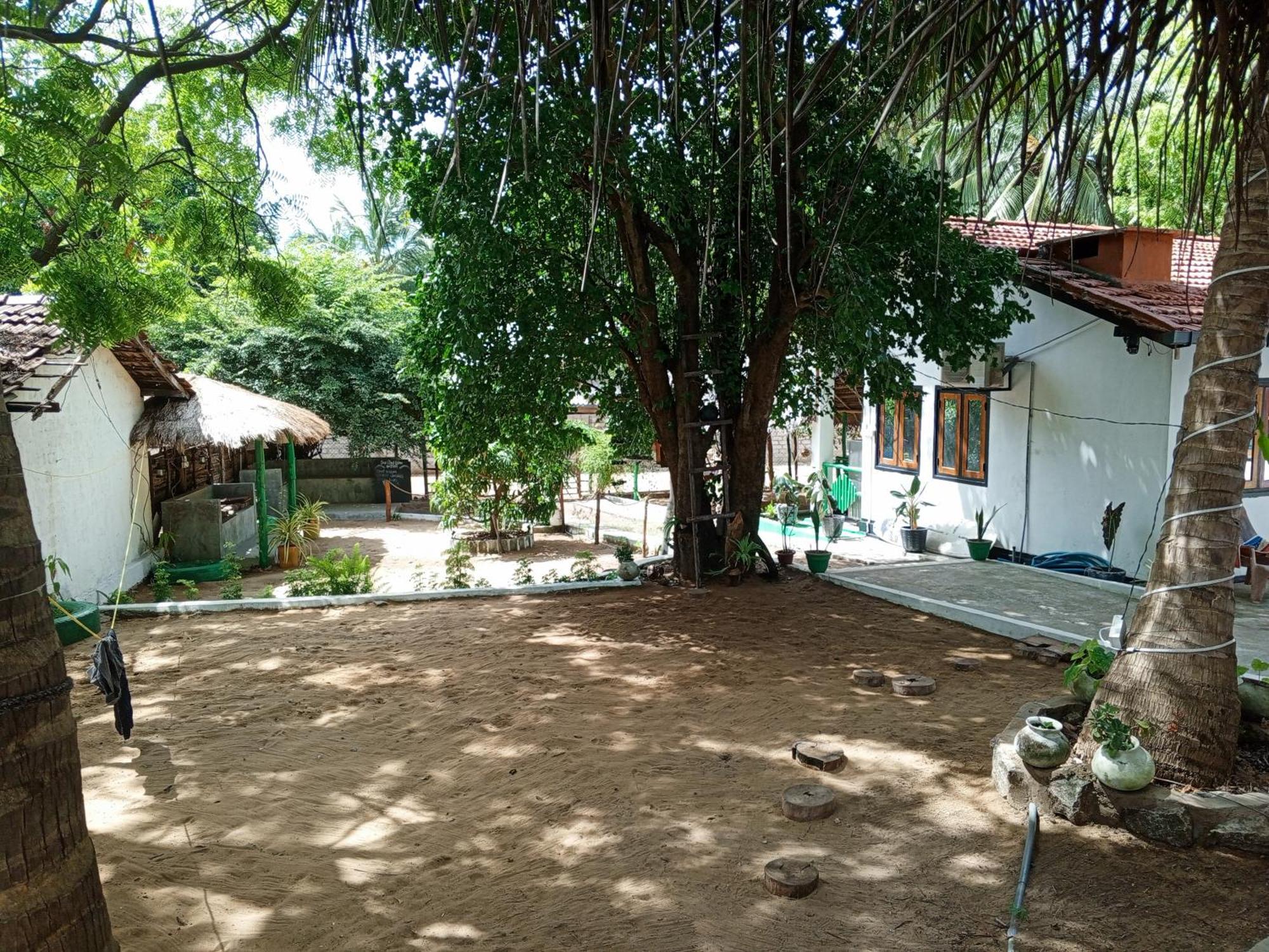 Surfing Lion Hostel Arugam Bay Zewnętrze zdjęcie